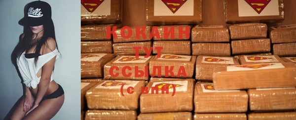 ешки Гусев