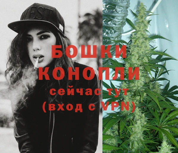 ешки Гусев