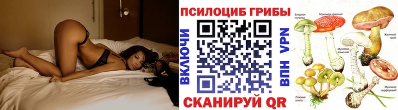 Галлюциногенные грибы Psilocybe  даркнет сайт  Дятьково 